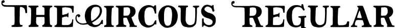 TheCircous Regular font | TheCircous.otf