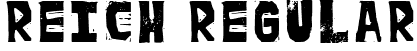 reich Regular font | reich.ttf