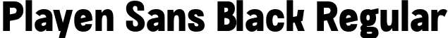 Playen Sans Black Regular font | PlayenSans-Black.otf