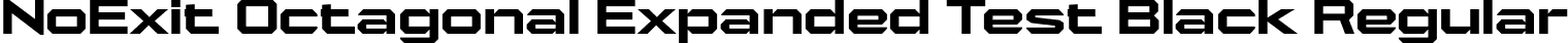 NoExit Octagonal Expanded Test Black Regular font | NoExitOctagonalExpandedTest-Black.otf