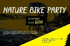 Dryer Brush â€“ Bicycle Display Font