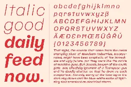 CA Spotnik font