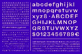 CA Spotnik font