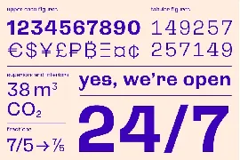 CA Spotnik font