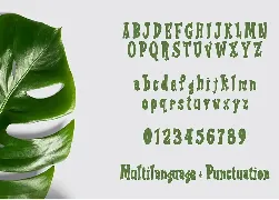 Ravioli Display Font 2 Style