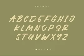 NCL Bovage Toiqora - Marker Style Font