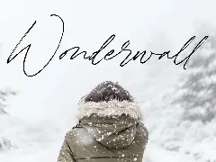 Winterlady Script Font