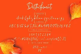 Dettachment Handwritten Wedding Font