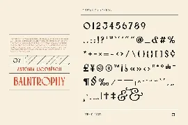 PALMORE - Vintage Rounded Serif font