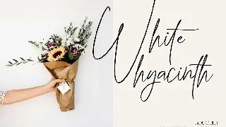 Beauty Switzerland Wedding Font