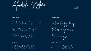 Absolute Nature Handwritten Script Font