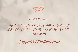 Aetrina Elegant Display | Wedding Font