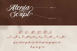 Aetrina Elegant Display | Wedding Font