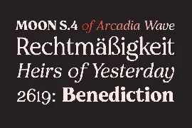 Pockota  |  Retro Display Serif Family font