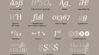 Pockota  |  Retro Display Serif Family font