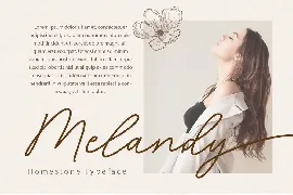 Homestone - Wedding Script Font with Swash