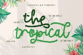 Tropical Beauty - Quirky Display Script Font