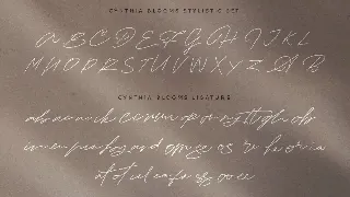 Cynthia Blooms - Monoline Signature logotype font