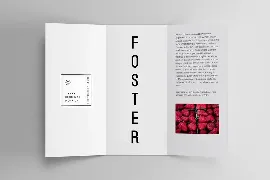 FOSTER - Amazing Display / Headline Typeface font