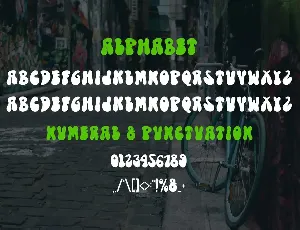 The Alpha - Graffiti Font Style