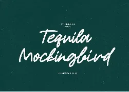 Roderick | Monoline Font