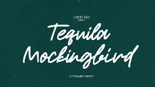 Roderick | Monoline Font