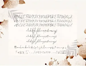 Cartines Signatures font