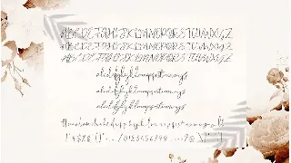 Cartines Signatures font