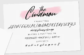 Cinamon font