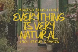 Monaco - Handwritten Brush font