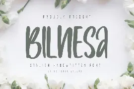 Bilnesa - Stylish Handwritten Font