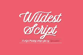 Wildest Script font