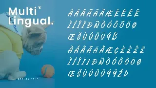 KOEASU - Misuh Display Font