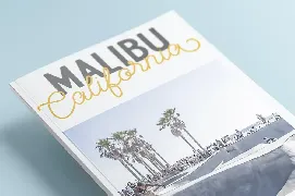 Palm Beach Font Duo