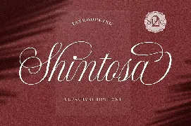 Shintosa Script font