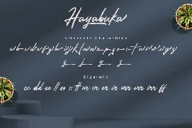 Hayabuka - Signature Font