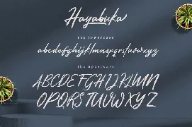 Hayabuka - Signature Font