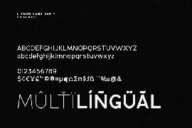 LiteON font