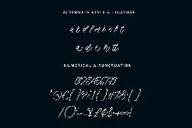 Vely Aliged Script Font