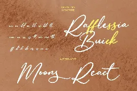 Reliances Script Font