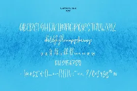 Oplatussy Script Font