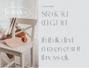 Rottaries - Modern Unique Typeface font