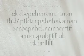 Berllian Serif Font