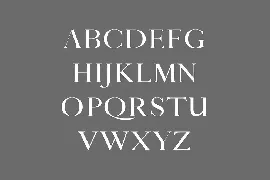 Thomas Craft A Modern Serif Typeface font