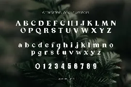 Eziso - Serif Font