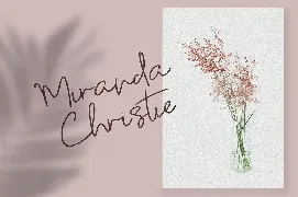 Dianova - Monoline Signature font