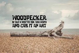 Woodpecker - Unique Jungle Font