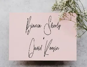 Plate Coast Signature Font