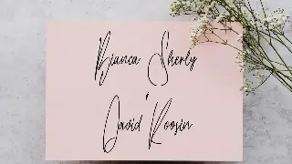 Plate Coast Signature Font