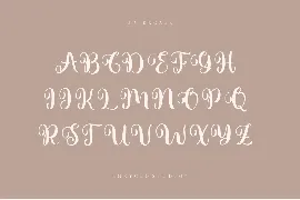 NCL Wittsy Bubry - Unique Fun Wedding Script Font